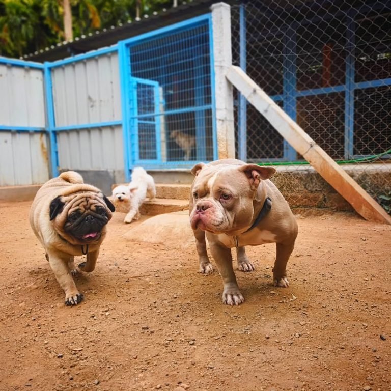 488799693_1791906041382652_1102384023205380850_n-768x768