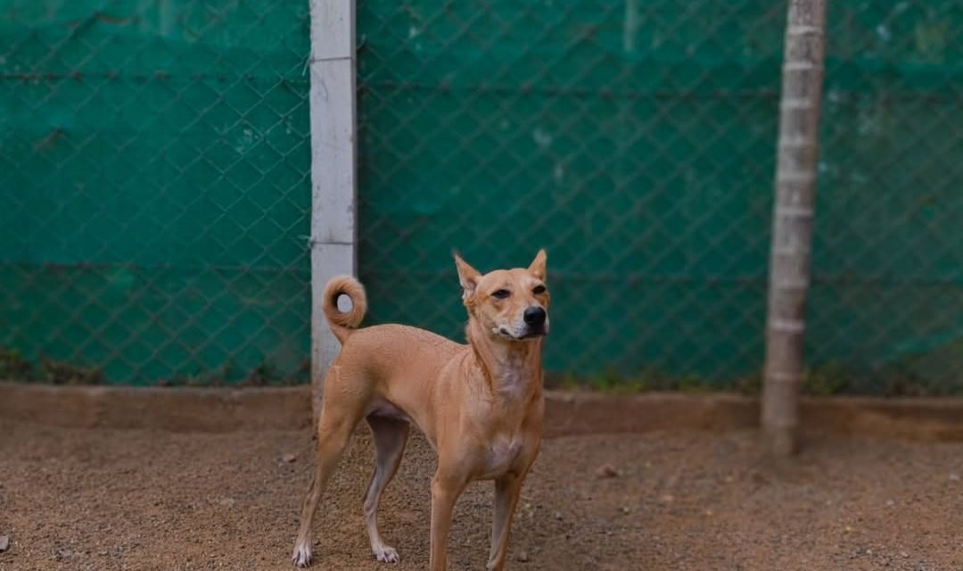 Bela-❤️-1080x640