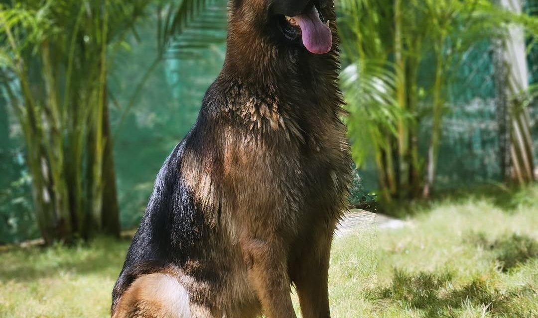 Click-click-click-📸-1080x640