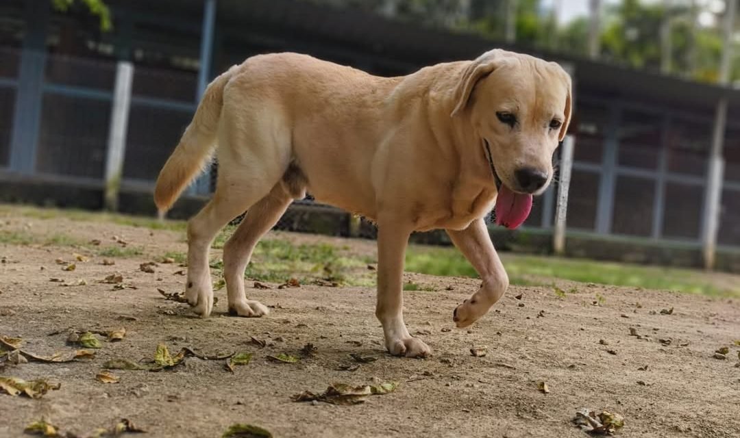 playtime-🌇-🌅-🌞-☀️-1-1080x640