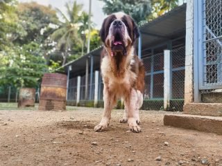 playtime-🌇-🌅-🌞-☀️-2-320x240